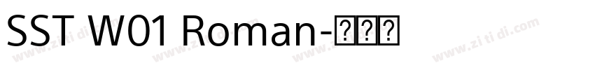 SST W01 Roman字体转换